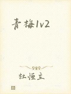 青梅1v2