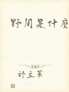 野周是什么意思封面
