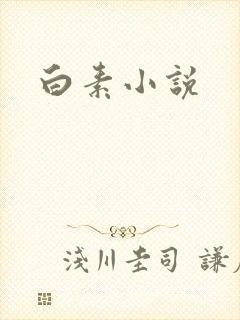 白素小说