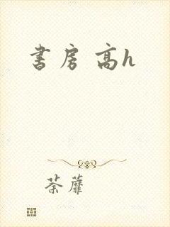 书房 高h