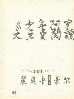 《少年阿宾》全文免费阅读封面