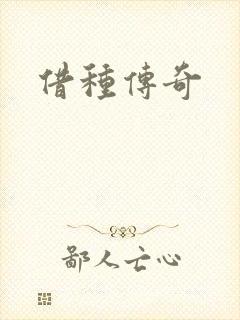 借种传奇封面