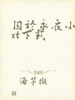 囚于永夜小说txt下载封面