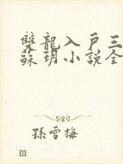 双龙入户三人行苏玥小说全文阅读