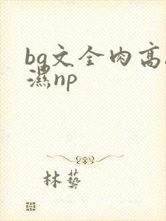 bg文全肉高h湿np