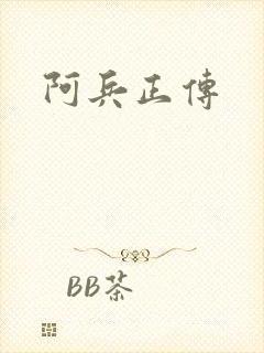 阿兵正传封面