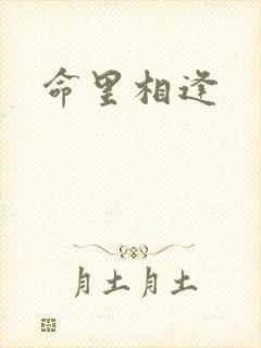 命里相逢