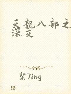 天龙八部之极乐深交封面