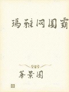 玛雅网图霸天下