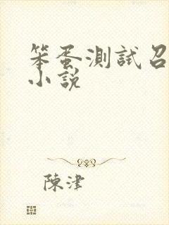 笨蛋测试召唤兽小说