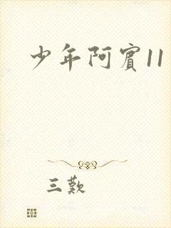 少年阿宾11封面