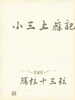 小三上瘾记
