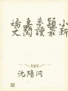 娇妻梦颖小说全文阅读最新章节更新