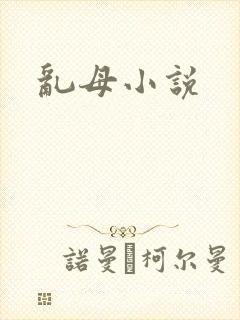 乱母小说封面