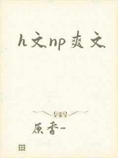 h文np爽文