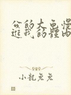 公的大龟慢慢挺进我的体内