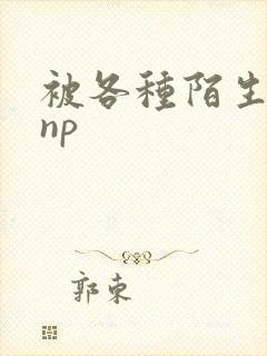 被各种陌生人 np