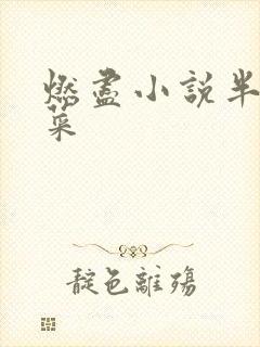 燃尽小说半截白菜