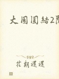 大团圆结2阅读