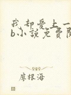 我却爱上一个sb小说免费阅读无弹窗封面