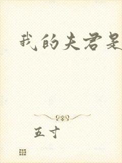 我的夫君是冥王