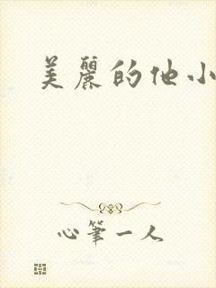 美丽的他小说