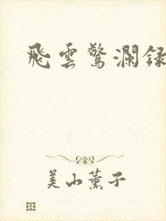 飞云惊澜录