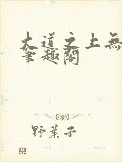 大道之上无弹窗笔趣阁封面