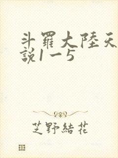 斗罗大陆天狂传说1一5