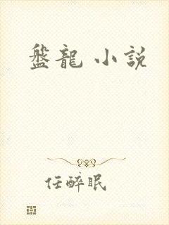盘龙 小说