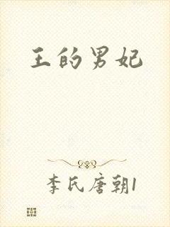 王的男妃封面