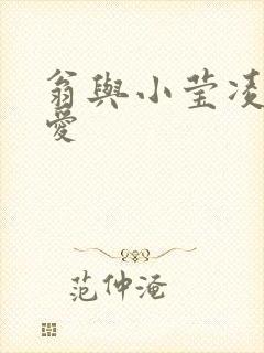 翁与小莹凌晨欢爱封面