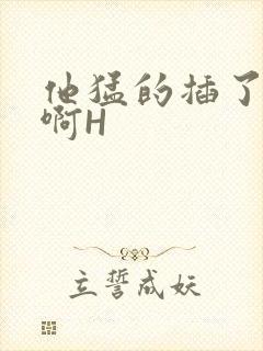 他猛的插了进去啊H