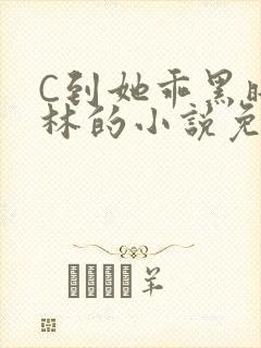 C到她乖黑暗森林的小说免费