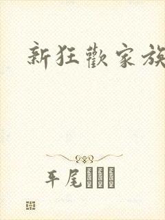 新狂欢家族小说