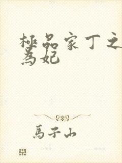 极品家丁之册母为妃