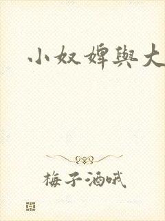 小奴婢与大少爷