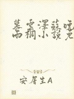 慕云泽苏晚晴夏雨桐小说免费阅读封面