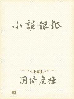 小说银狐