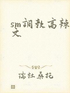 sm调教高辣h文