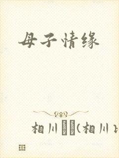 母子情缘