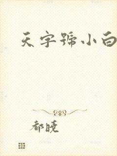 天字号小白脸