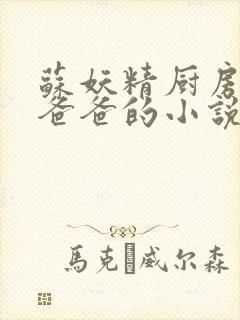 苏妖精厨房爹爹爸爸的小说