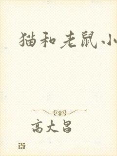 猫和老鼠小说