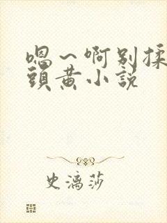 嗯～啊别揉我奶头黄小说