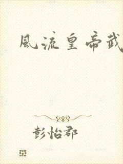 风流皇帝武则天封面