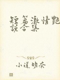 短篇激情艳情小说合集封面