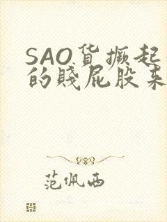 SAO货撅起你的贱屁股来