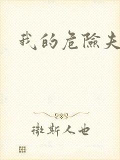 我的危险夫人封面