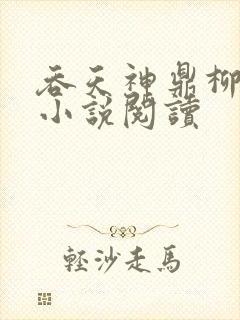 吞天神鼎柳无邪小说阅读